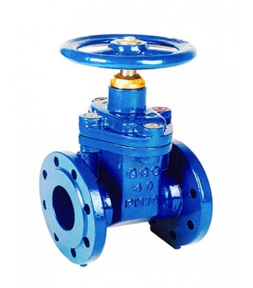 Wedge gate valves